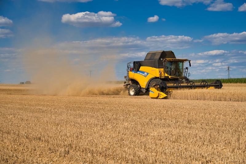 Harvesting Wheat